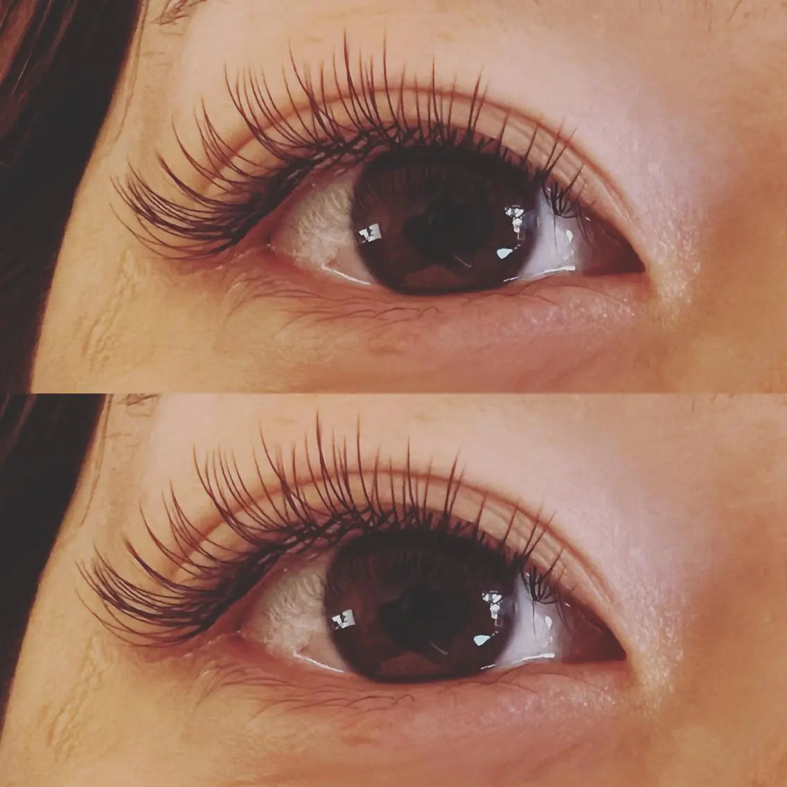 マツエク・マツパ 付け放題 Dカール フラットラッシュ Eyelash m&mのマツエク・マツパデザイン