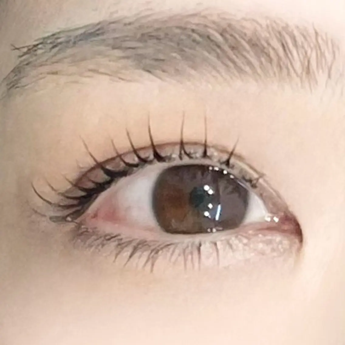 アイブロウワックス+間引きカット+上下まつげパーマの写真
