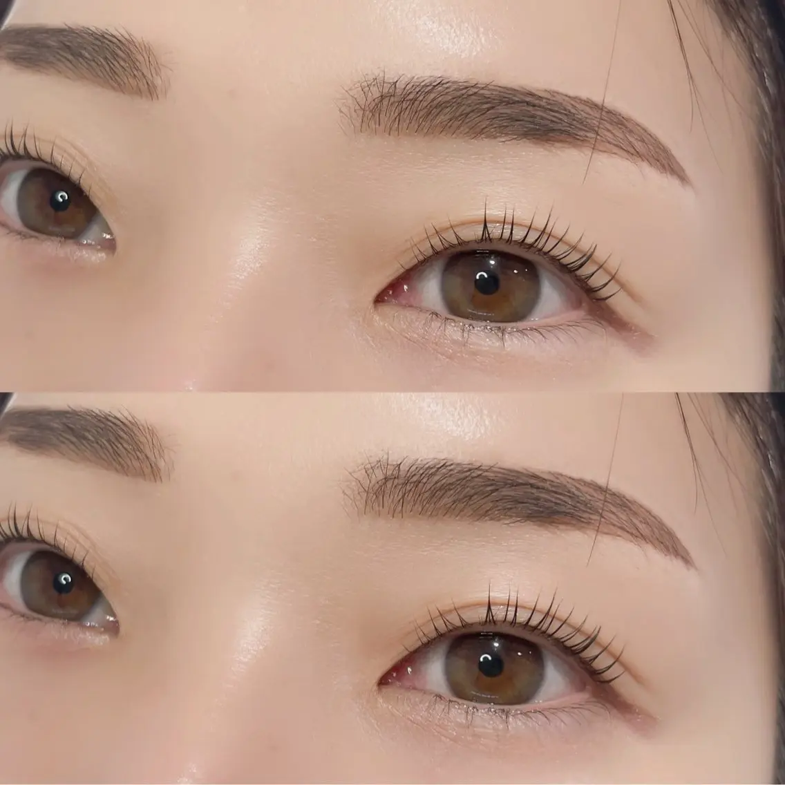 《眉×まつ毛》美眉スタイリング+次世代まつげパーマの写真