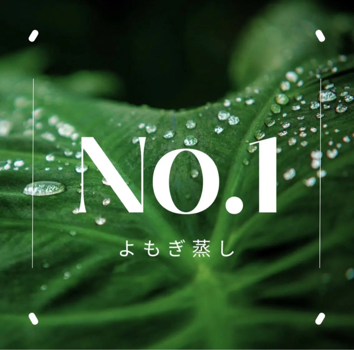 【3月限定・よもぎ蒸し60分】迷ったらコレ◆選べるハーブよもぎ蒸し◆¥3,300の写真