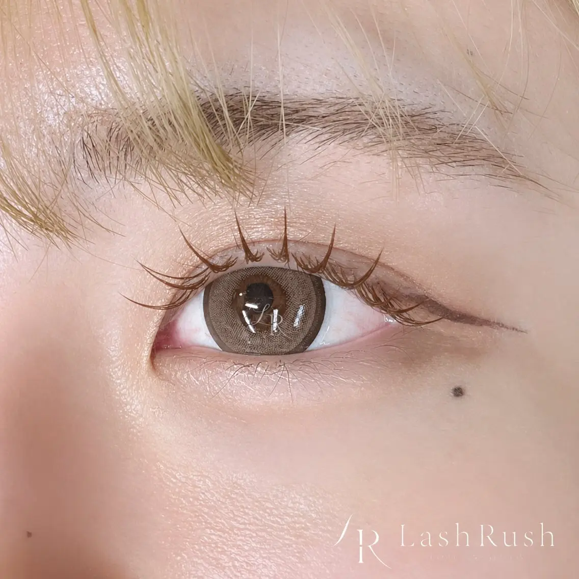 マツエク・マツパ Canon. 🧺LashRushのマツエク・マツパデザイン
