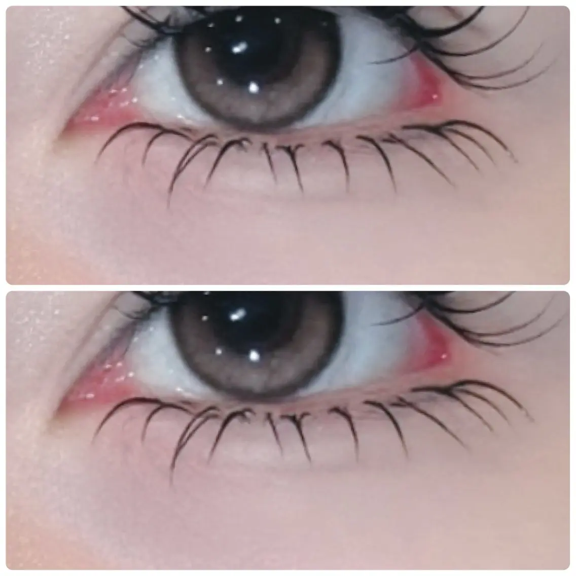 🍒ྀི下まつ毛エクステ40本🍒ྀིの写真