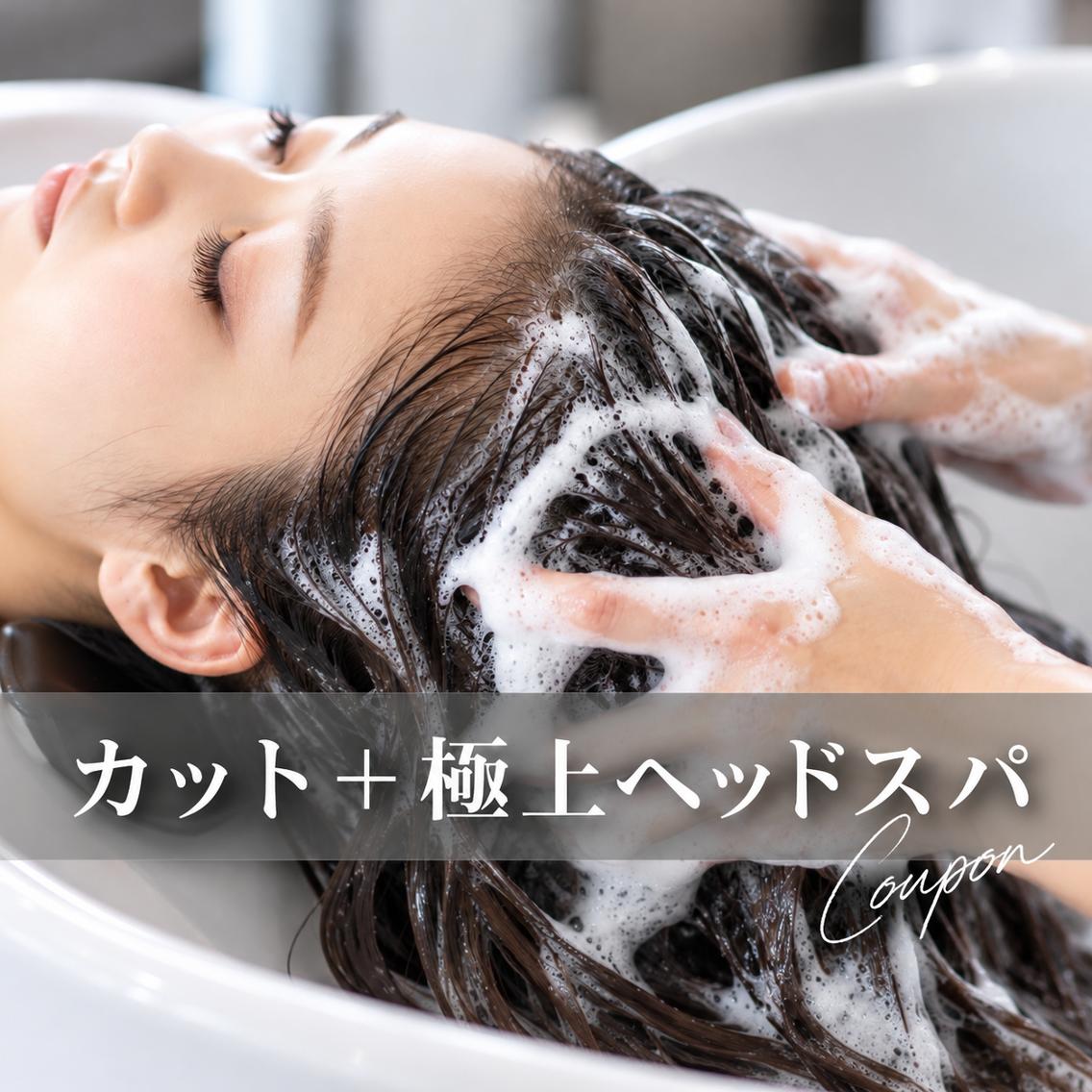 カット トリートメント ヘッドスパ SOURCE堺東🫧 ヘアケア/艶カラーのヘアスタイル