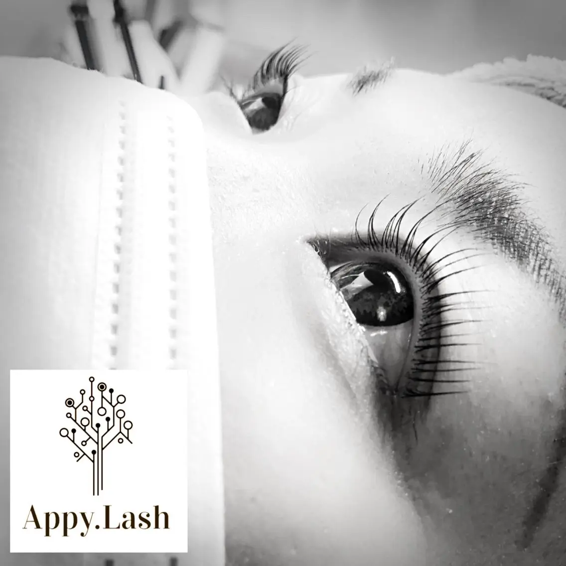 マツエク・マツパ まつげと眉の専門店 Appy.Lashのマツエク・マツパデザイン