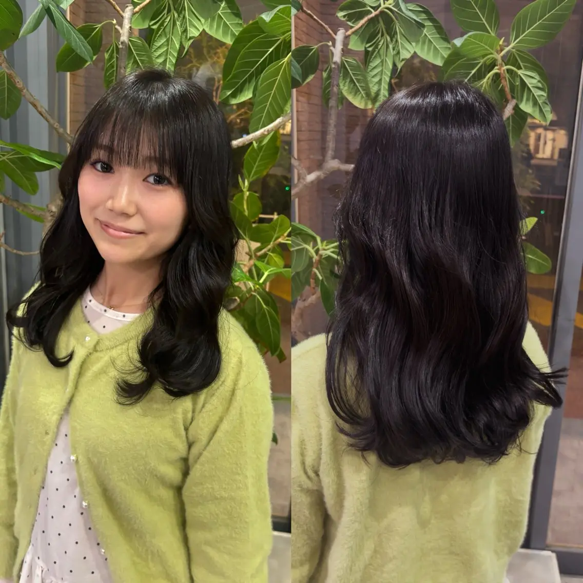 トリートメント 🐈‍⬛JUMI /透明感カラー/🩶のヘアスタイル