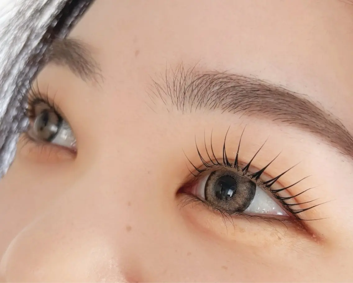 【premium🌹】潤いラッシュリフト➕トリートメント🫧の写真