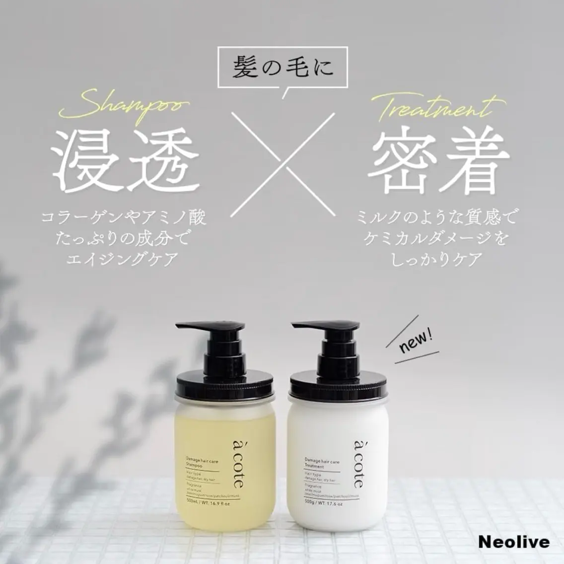 sola: neolive熊田のマツエク・マツパデザイン