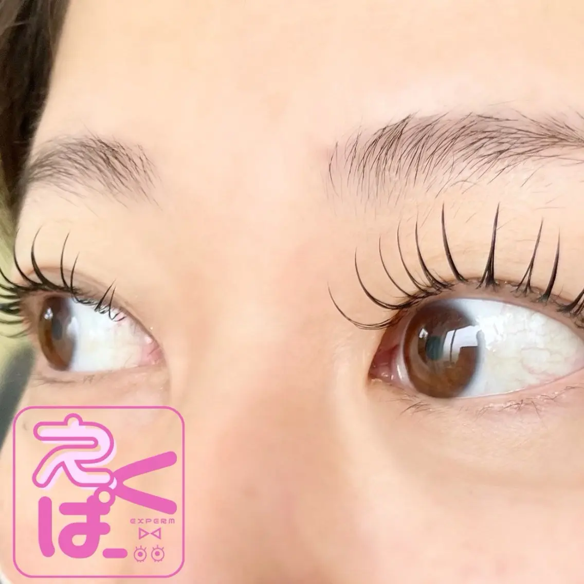 マツエク・マツパ niko eyeのマツエク・マツパデザイン