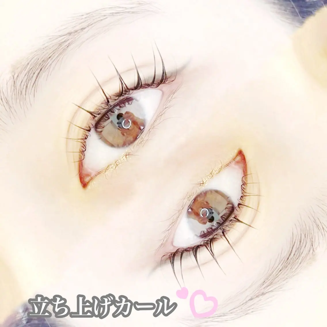 マツエク・マツパ パリジェンヌラッシュリフト PLATINUM DOLL yunaのマツエク・マツパデザイン
