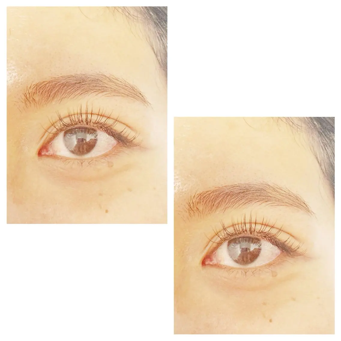 マツエク・マツパ マツエク plume eyelashのマツエク・マツパデザイン