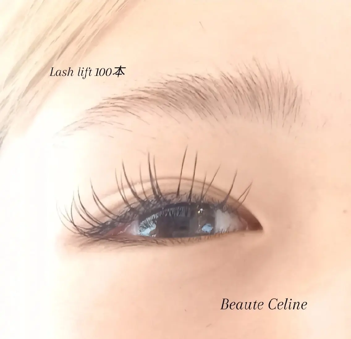 マツエク・マツパ Dカール マツエク LED✨beaute Celine🌛🌹のマツエク・マツパデザイン