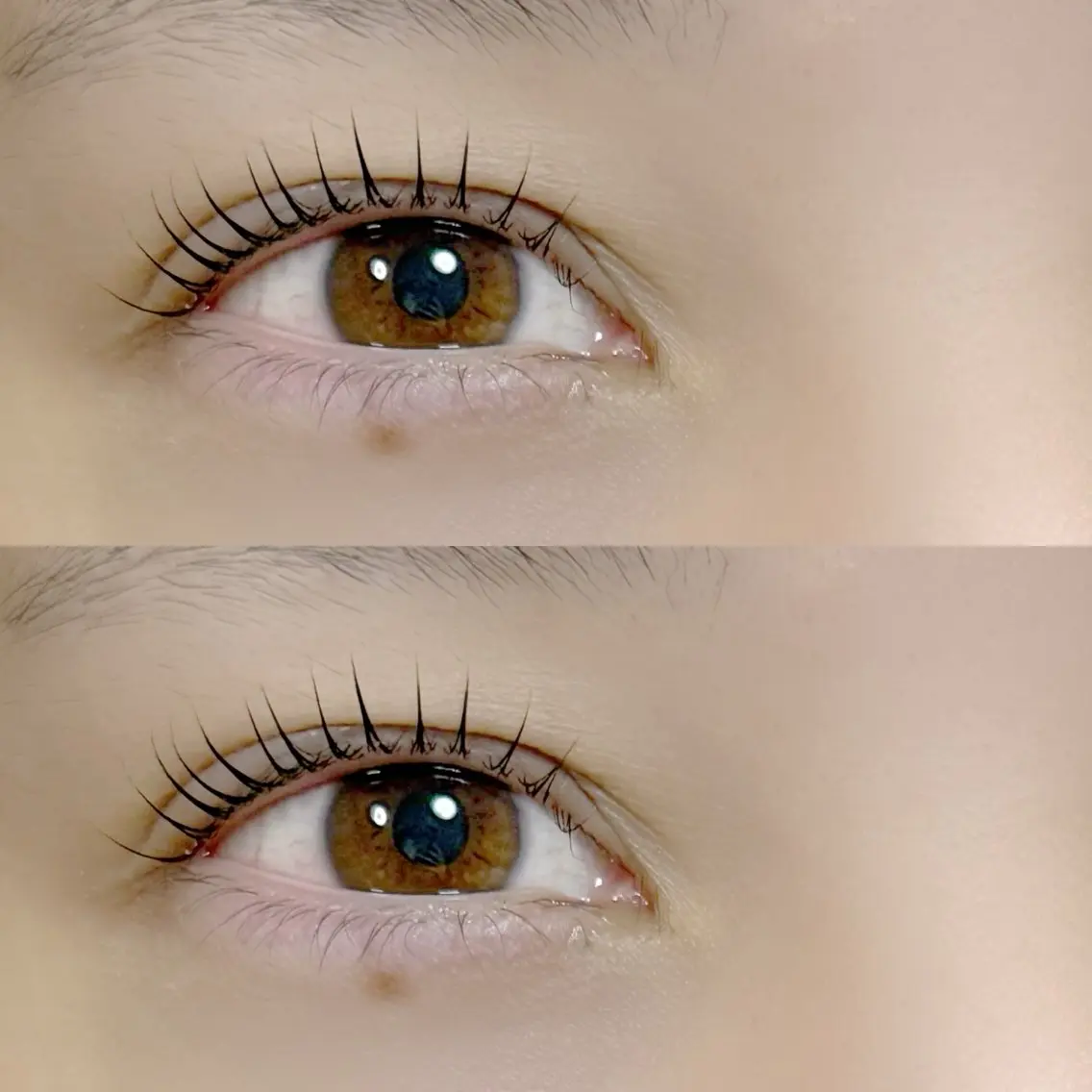 マツエク・マツパ マツパ Eyelash 003のマツエク・マツパデザイン