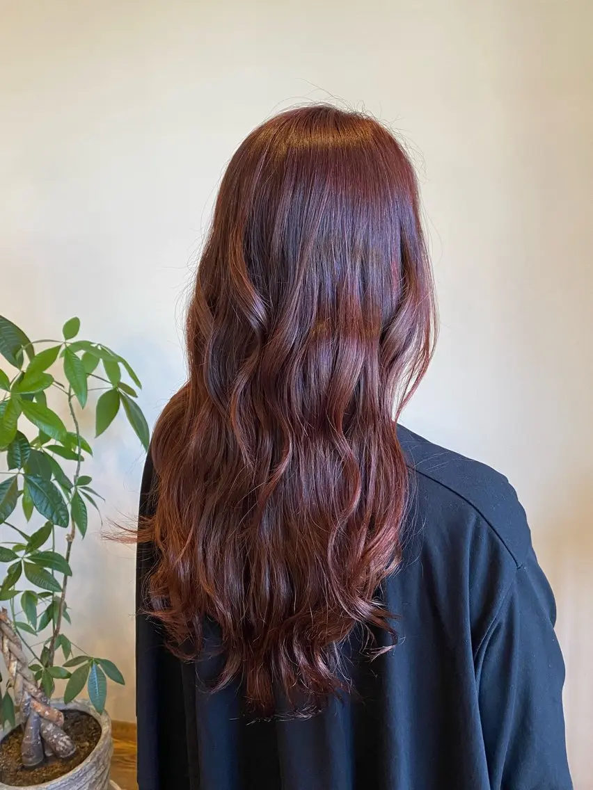 ロング カラー ブラウンカラー レッドカラー レッドブラウン ヘアカラー Ludwig AIRIのヘアスタイル