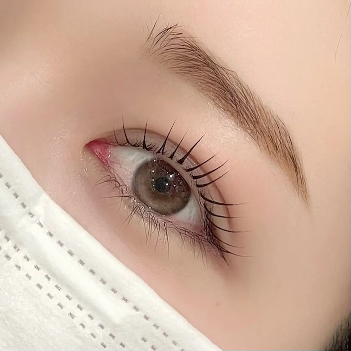 6/1(月)~6/5(金)🌷上下ラッシュリフト🌷(パリジェンヌも可)の写真