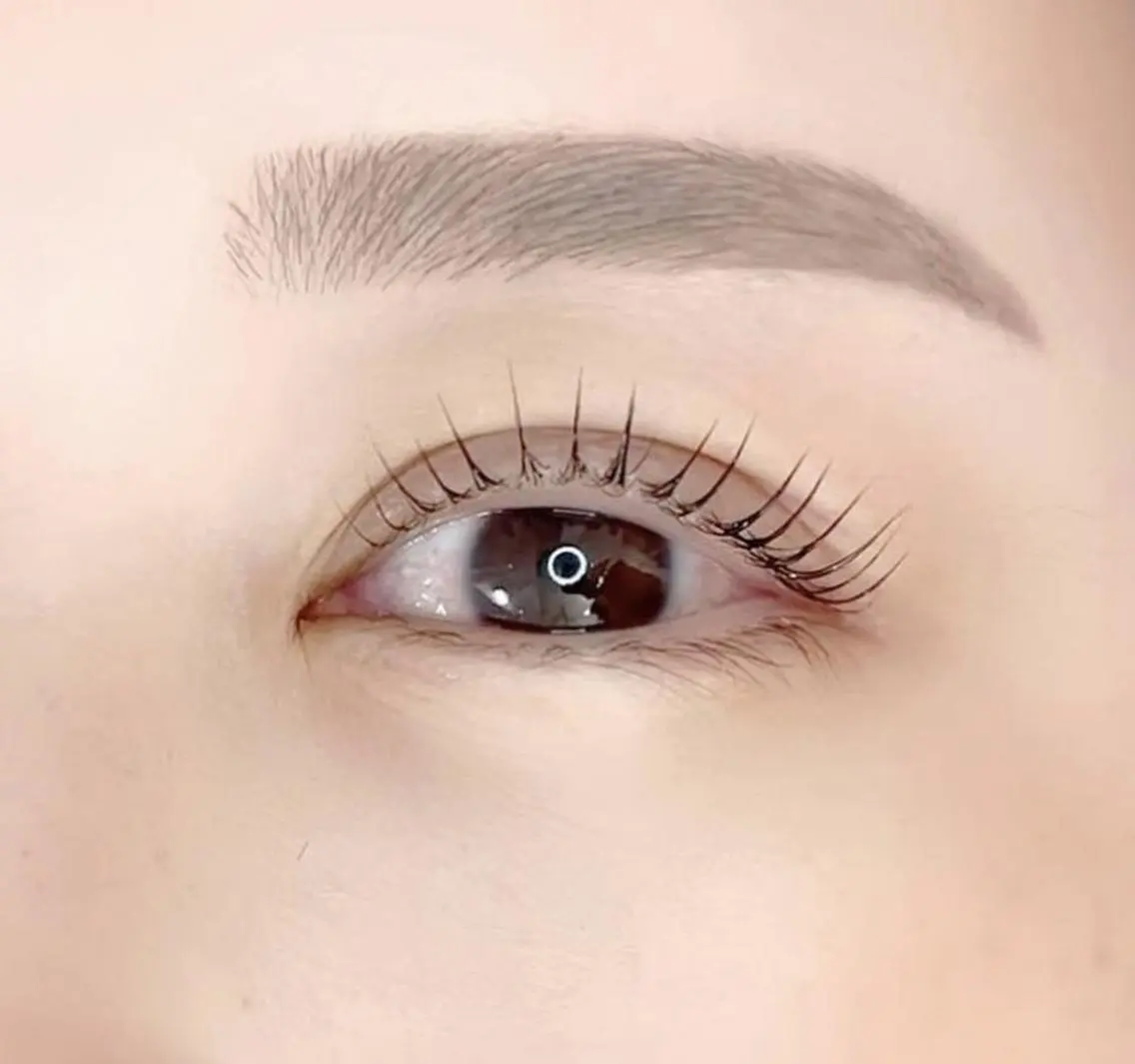 🤍上まつ毛パーマ orパリジェンヌ(コーティング付き)の写真