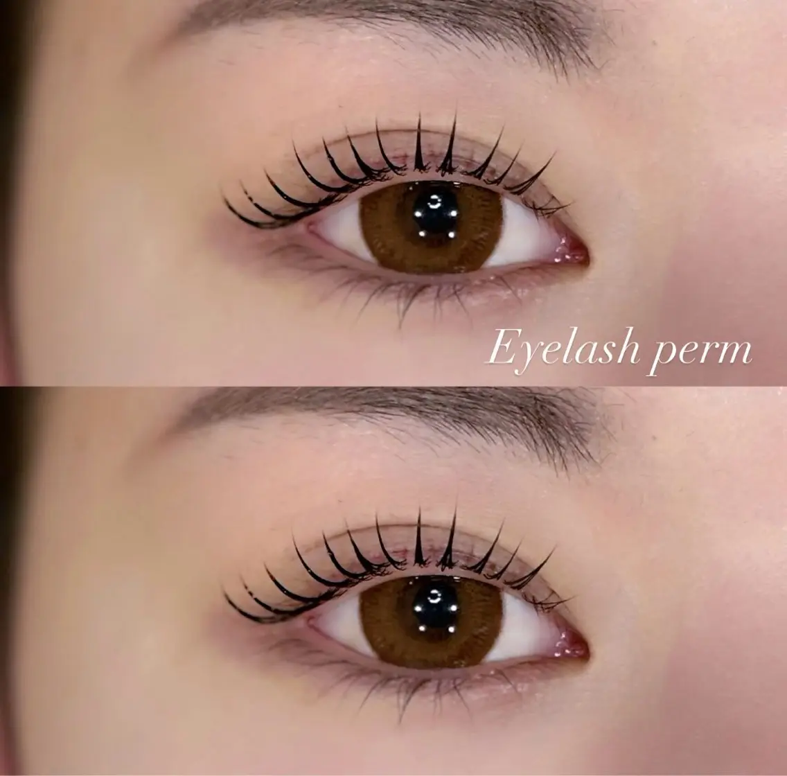 マツエク・マツパ マツパ prize iris ASUKAのマツエク・マツパデザイン