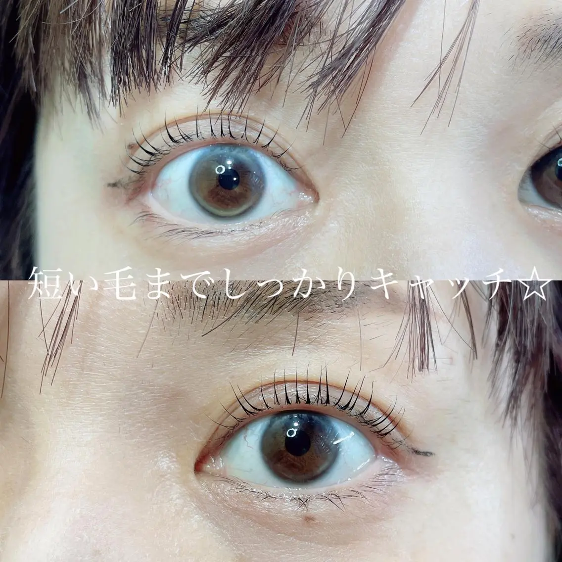 マツエク・マツパ まつげパーマ マツパ SEALA 高石の眉毛・アイブロウイメージ