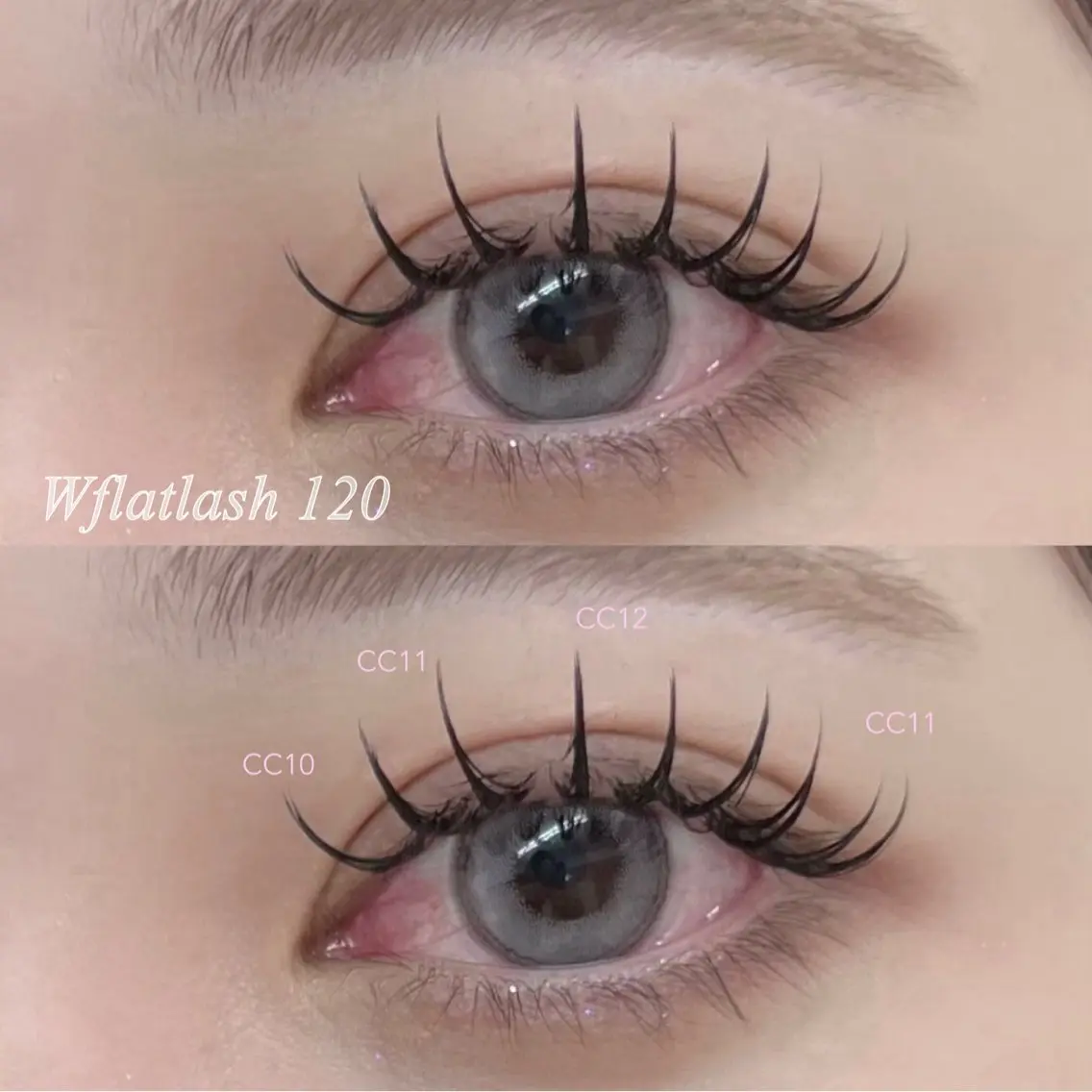 Wフラットラッシュ120束🌷（オフ別途+550円）の写真