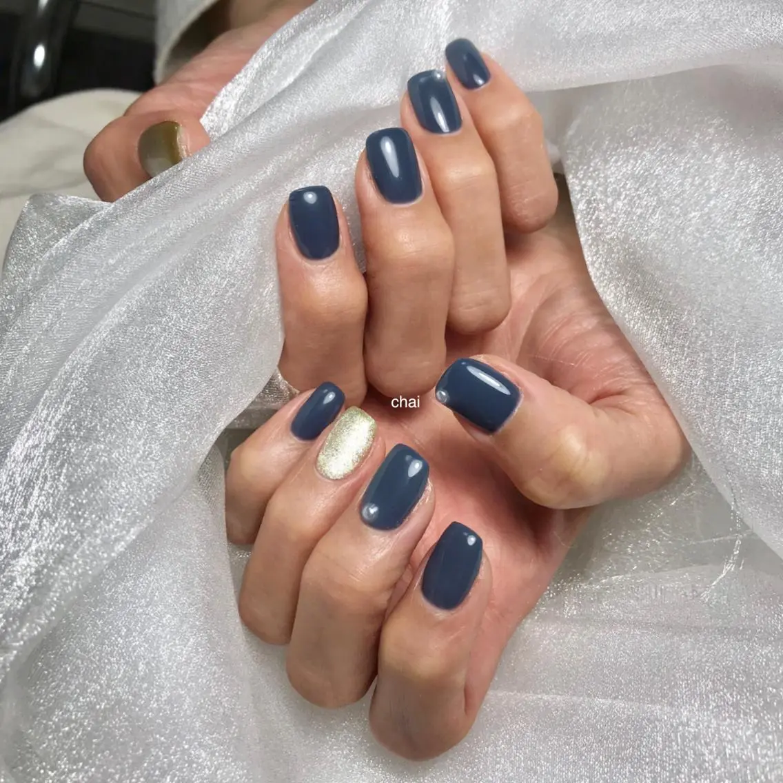 ネイル マグネットネイル ハンドネイル chai nail _ai📍鶴橋/桃谷のネイルデザイン