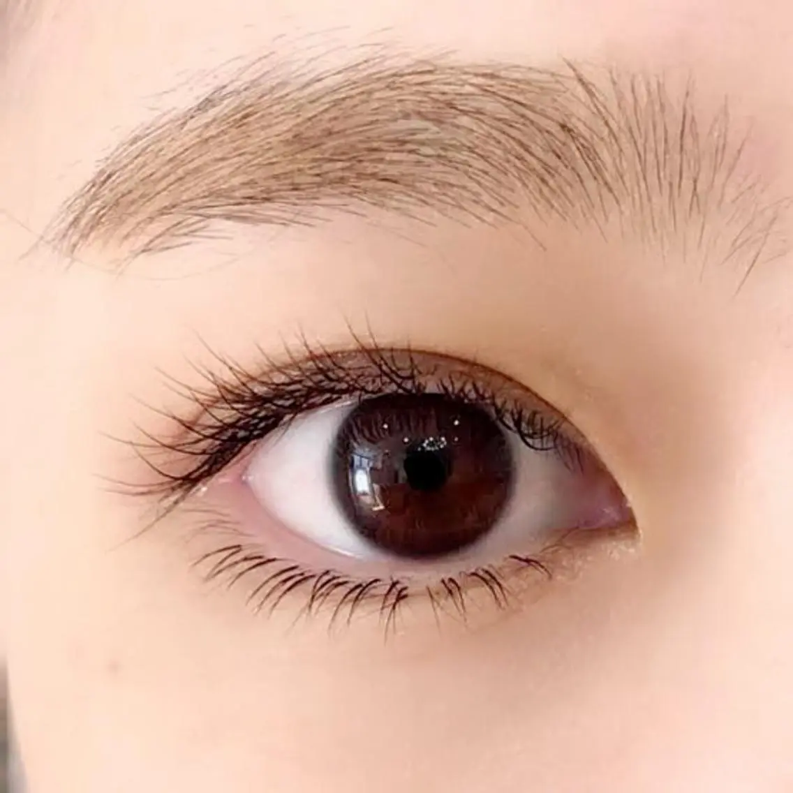 下まつげエクステ🌟セーブル　30本までの写真