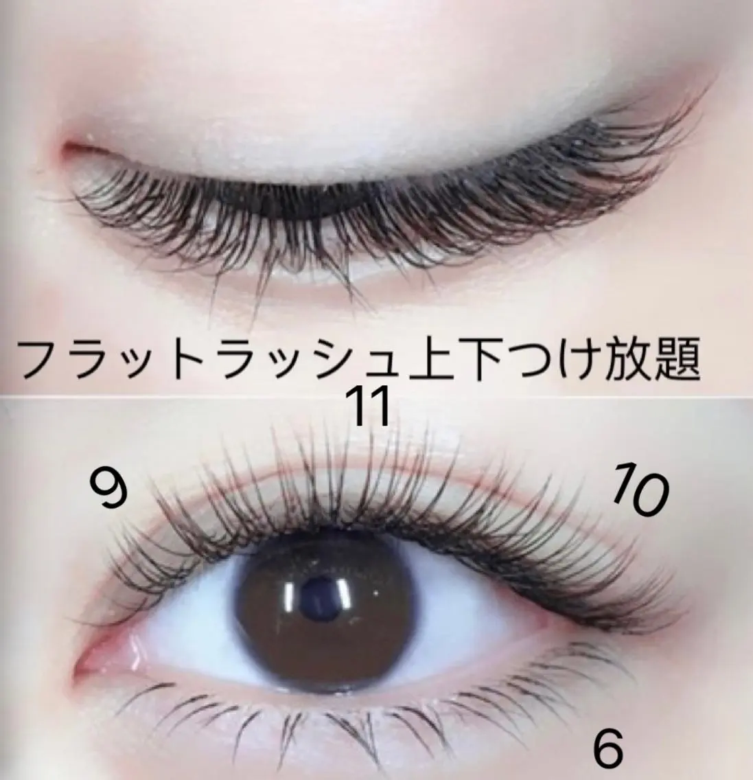 マツエク・マツパ 付け放題 フラットラッシュ 下まつげエクステ マツエク An beauty 池袋のマツエク・マツパデザイン
