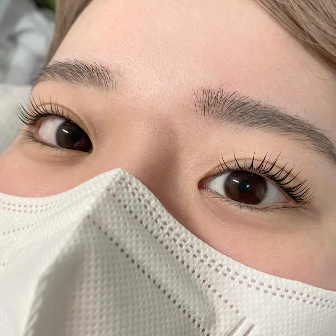 マツエク・マツパ パリジェンヌラッシュリフト EYEMAJIC Pure★高見の眉毛・アイブロウイメージ