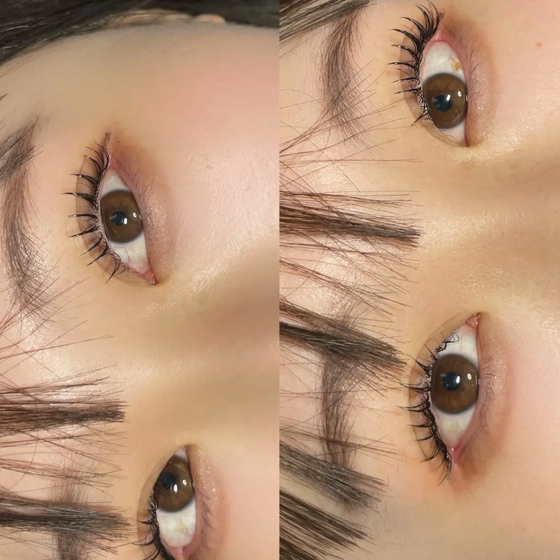 マツエク・マツパ eclipse eyelashのマツエク・マツパデザイン