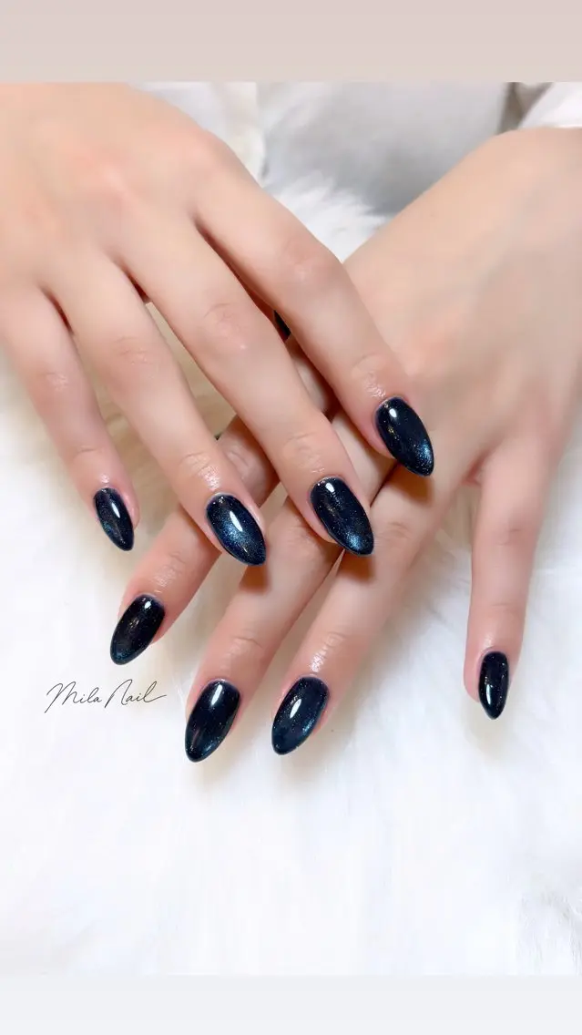 ネイル フラッシュネイル フラッシュマグ マグネットネイル ネイビー ハンドネイル Mila Nail🐈のネイルデザイン