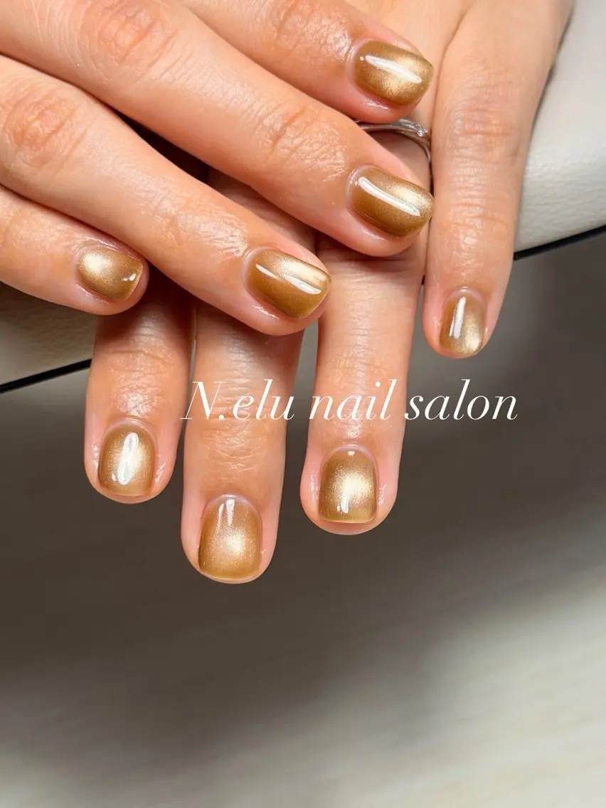 ネイル ブラウン マグネットネイル ハンドネイル N.elu nail salonのネイルデザイン