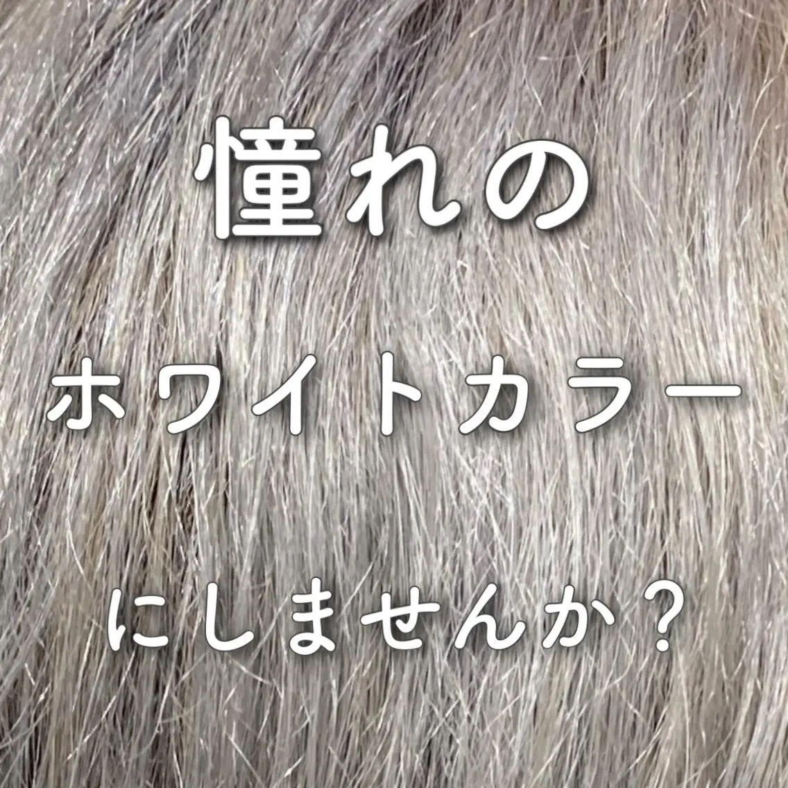 ショート カラー 透明感カラー イヤリングカラー ハイトーンカラー インナーカラー 韓国風カラー 小嶋 秀明/ 本物の髪質改善⭐️のヘアスタイル