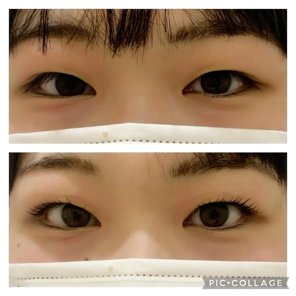 マツエク・マツパ Daisy hair eyelashのマツエク・マツパデザイン