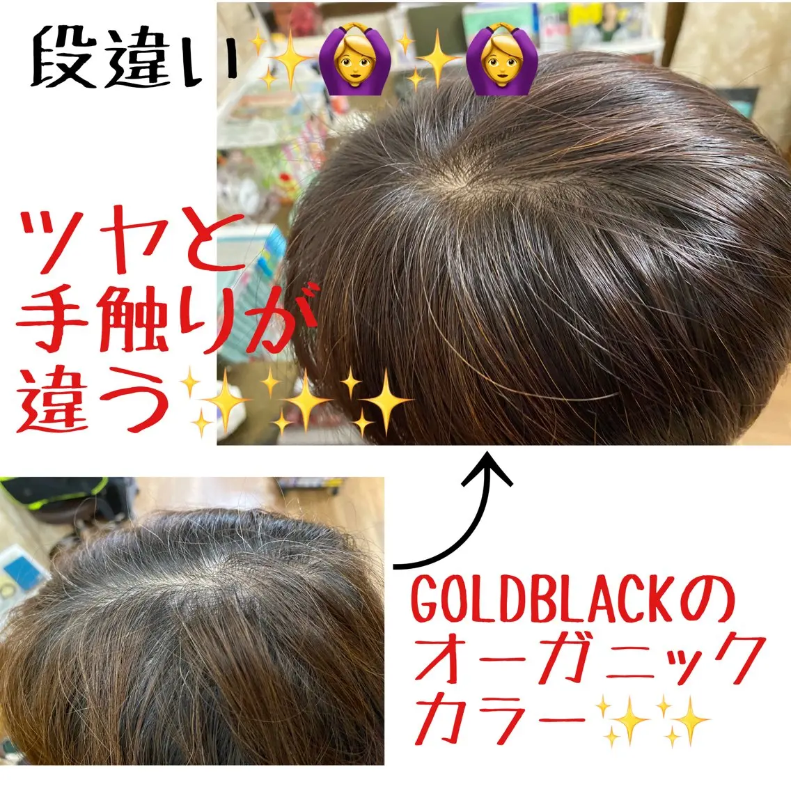 【新規お試し】限定GOLD BLACKのケアカラーを体験してみませんか?リタッチカラー+トリートメントの写真