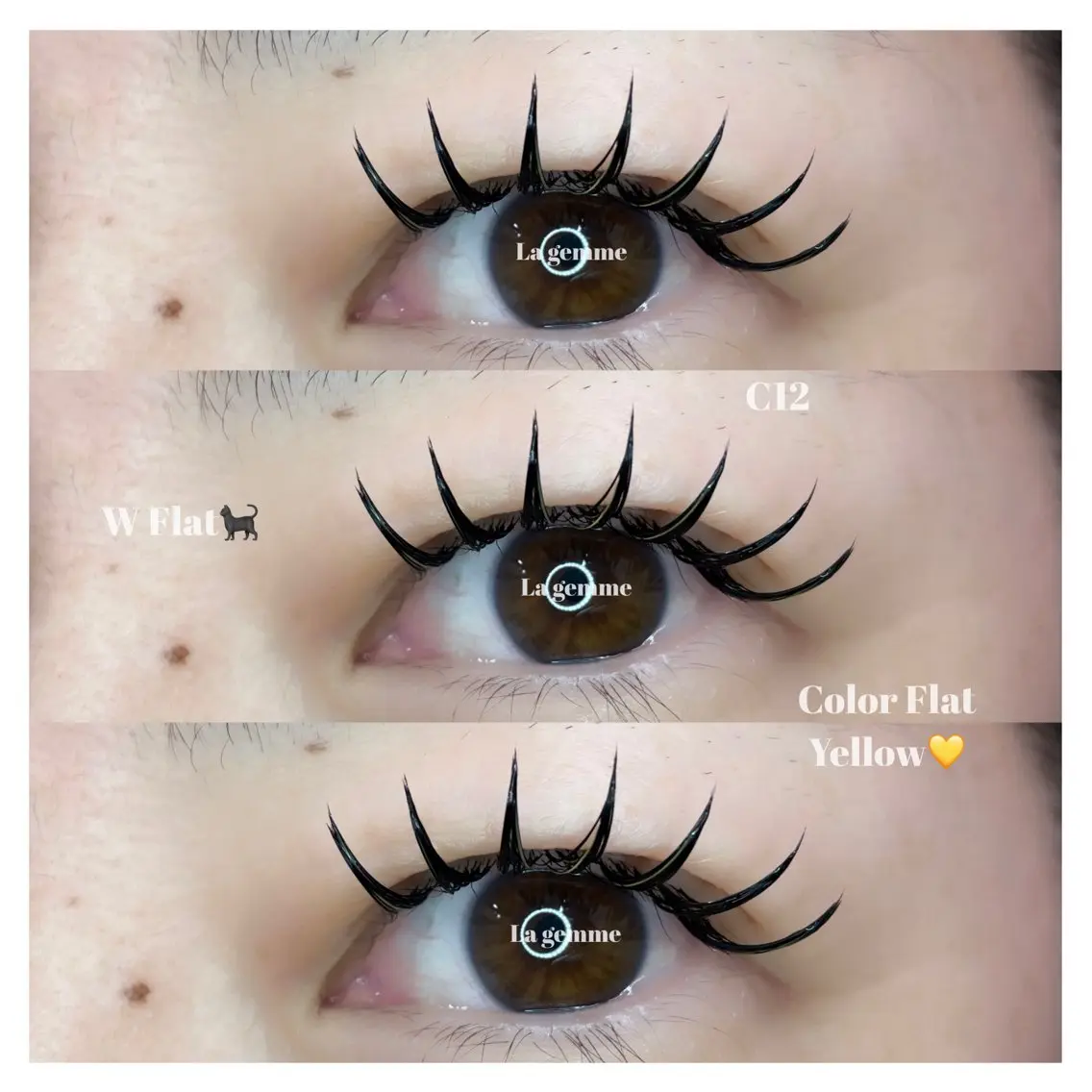 🫧ダブルフラット80束《アイシャンプー付き🧴》の写真