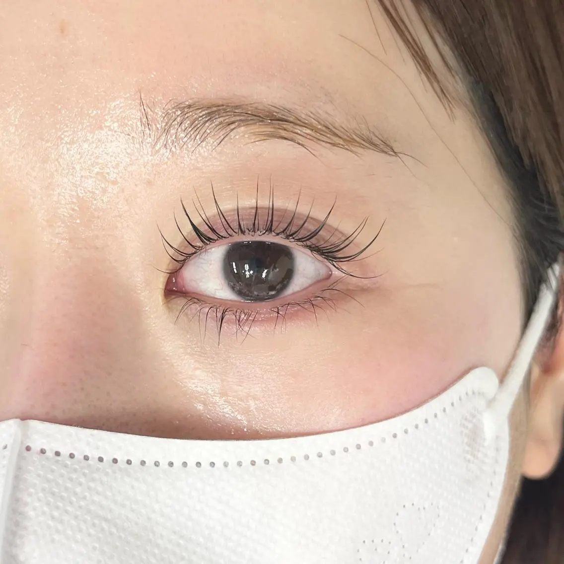 マツエク・マツパ White Camellia○椿の眉毛・アイブロウイメージ