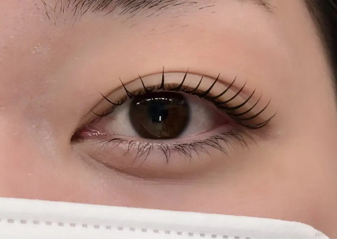 マツエク・マツパ マツパ LaBlanche ゆいの眉毛・アイブロウイメージ