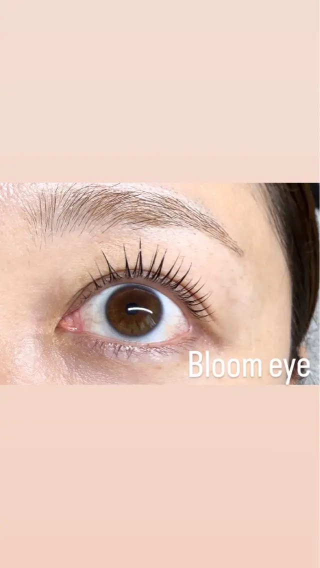 マツエク・マツパ 韓国風マツエク Bloom eye 豊中 北緑丘の眉毛・アイブロウイメージ