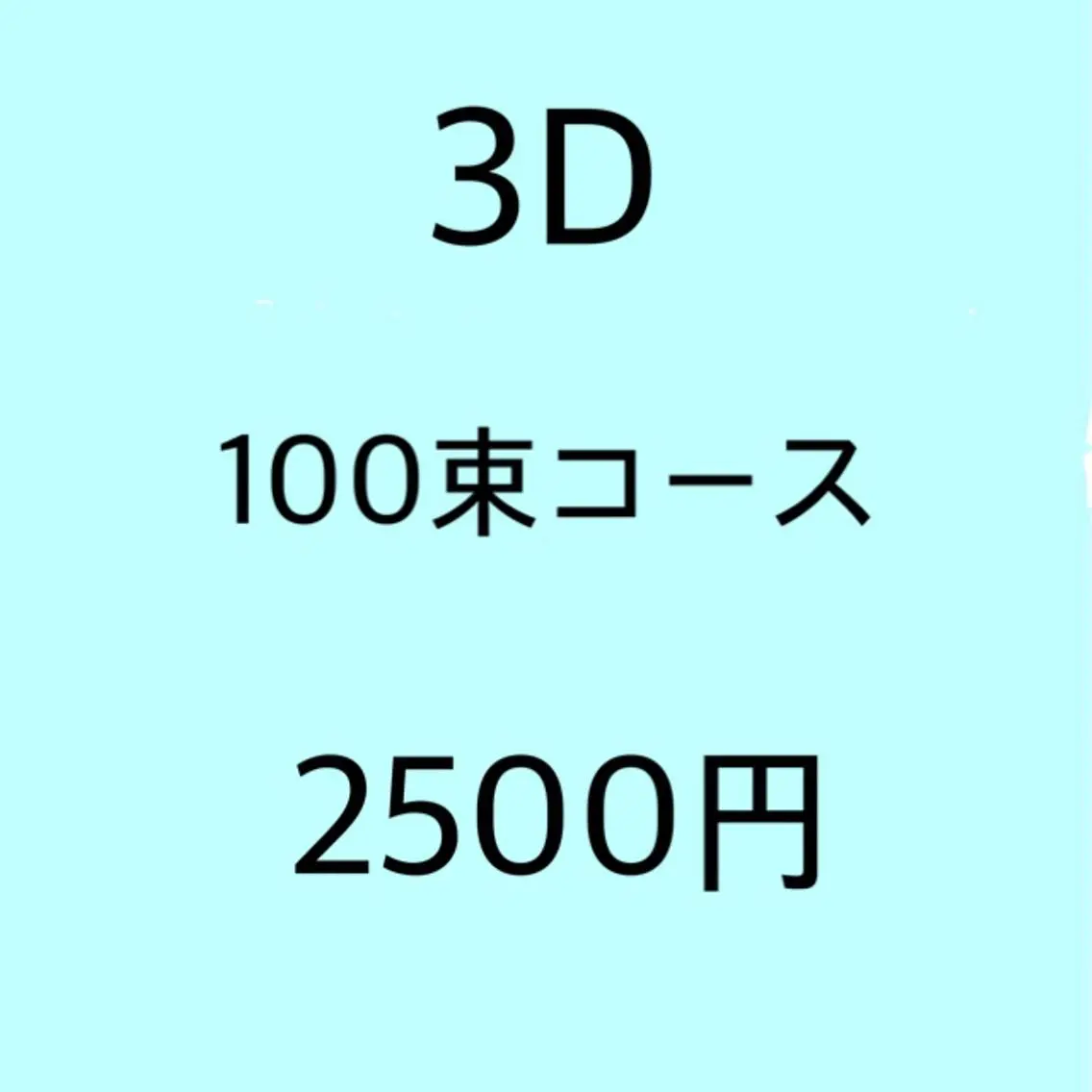 ◆オフ有《フラット超ソフト》3D100束⭐️J・C・SCカールのみ⭐️の写真