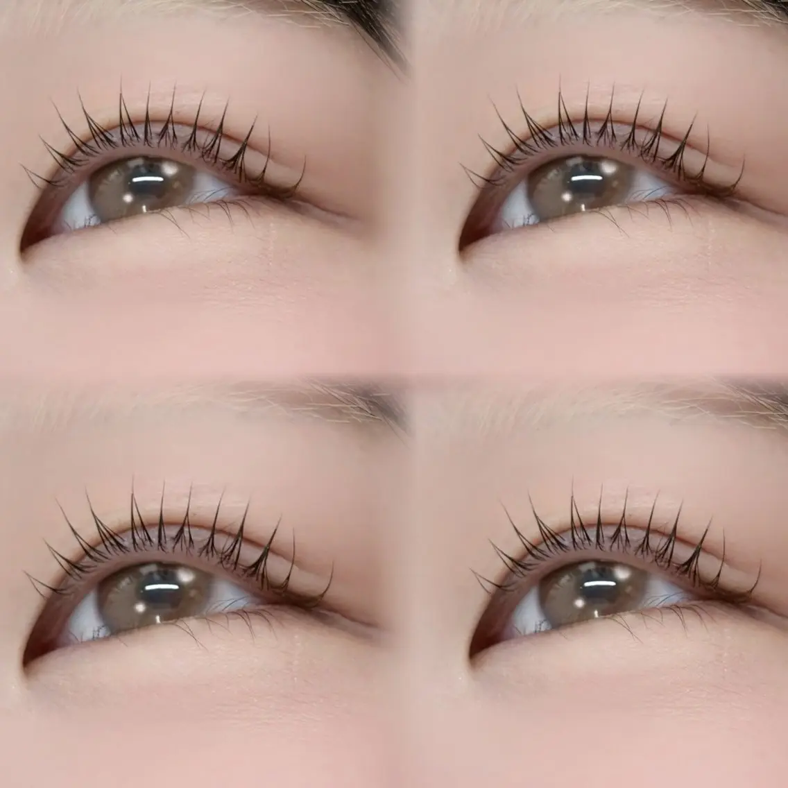 期間限定🦋ハニールーチェ🦋お好きなパーマ+2種類のトリートメントの写真