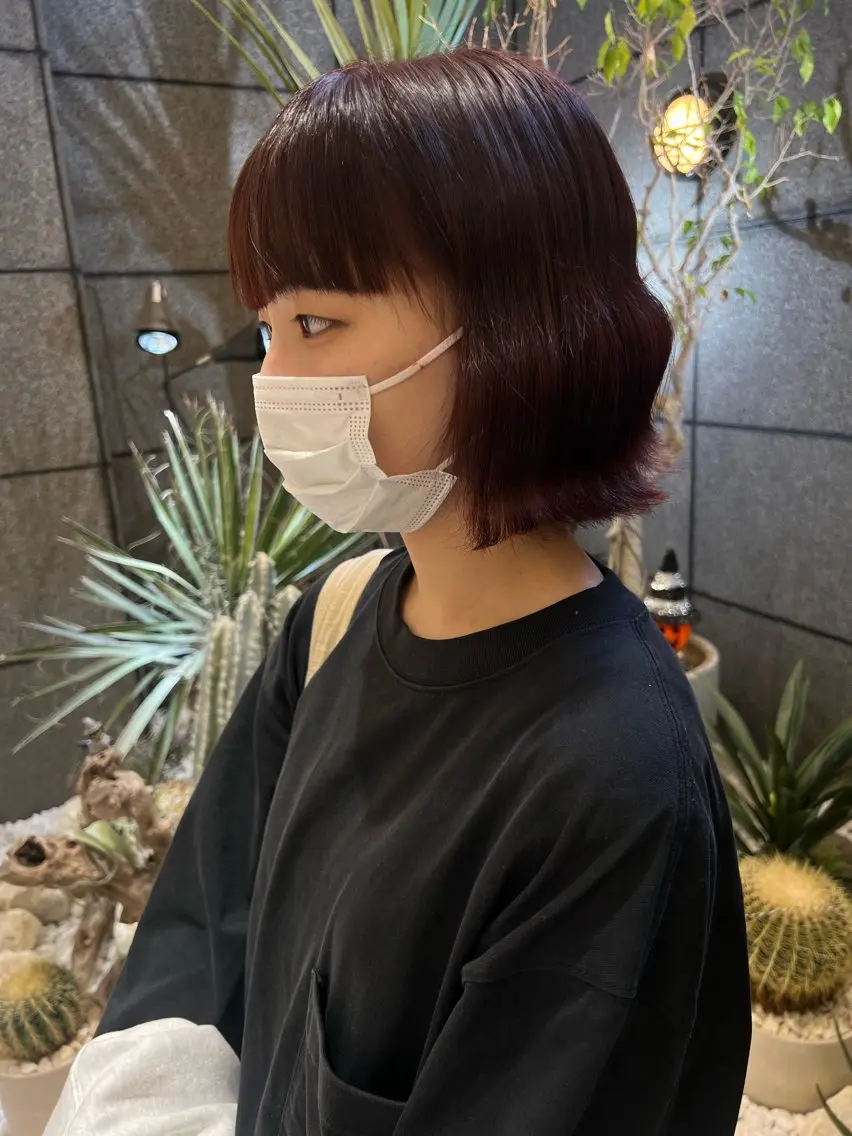 ショート カラー レッドカラー 酸性ストレート人気 No,1/カスミ🩰のヘアスタイル