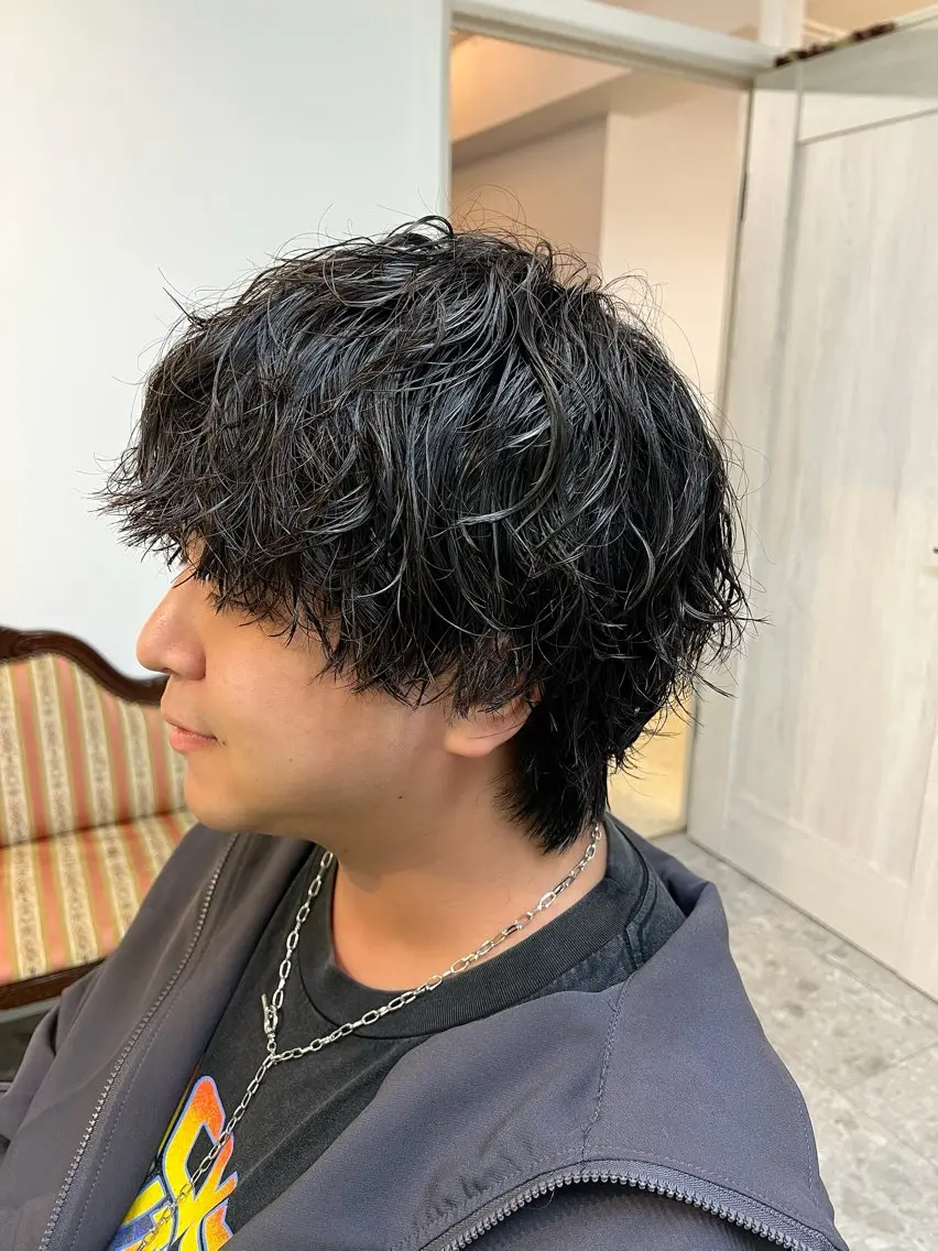 ミディアム パーマ メンズ ミディアムパーマ マッシュウルフ マッシュ メンズパーマ ツイストスパイラルパーマ 🤍中野 レオ🤍のヘアスタイル