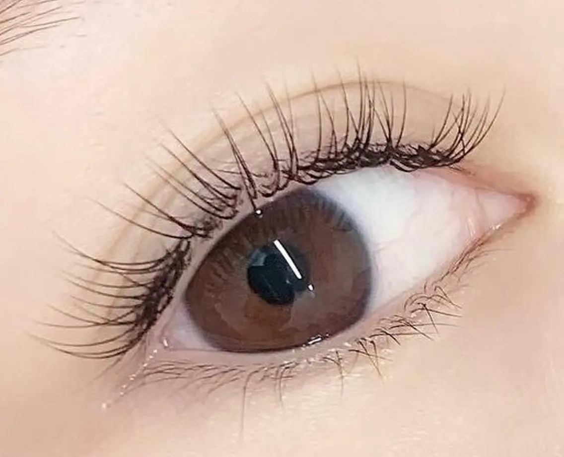 マツエク・マツパ ナチュラル eyelash f　香里園のマツエク・マツパデザイン