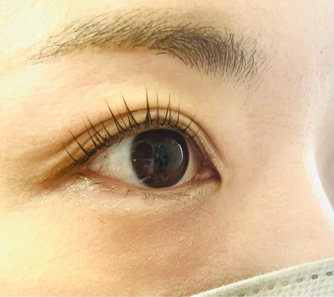 マツエク・マツパ パリジェンヌラッシュリフト マツパ Any eyelashのマツエク・マツパデザイン