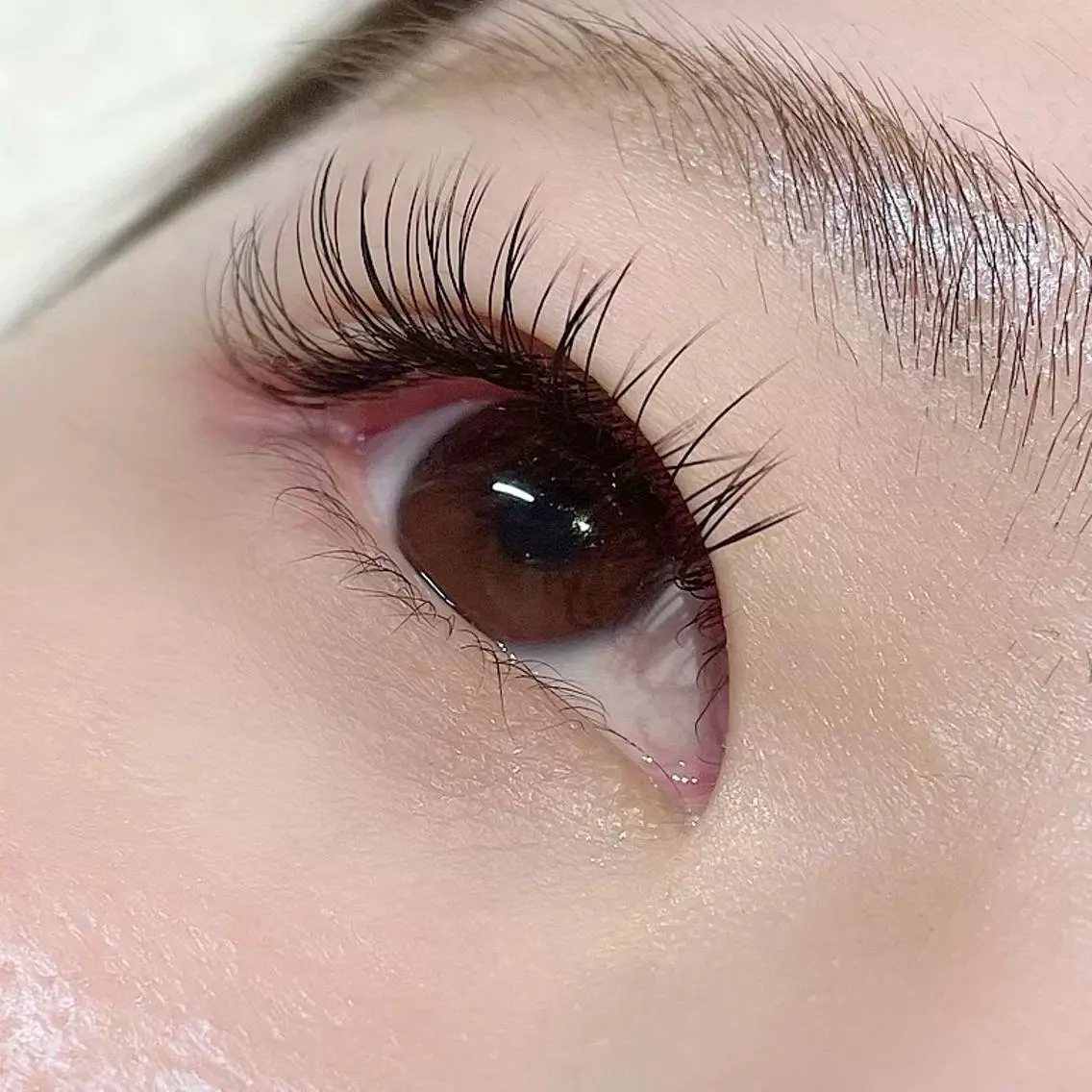 マツエク・マツパ キュート Dカール フラットラッシュ EYEMAJIC Pure★高見の眉毛・アイブロウイメージ