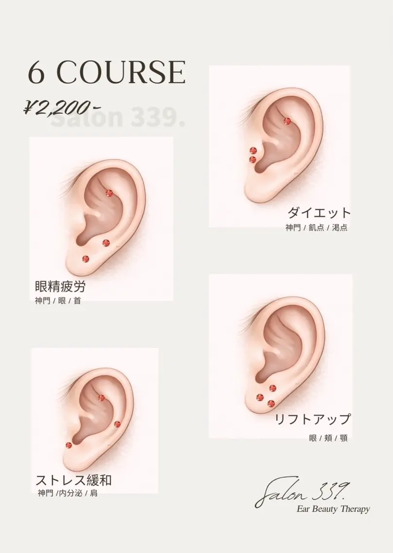 🩵耳ツボジュエリー6コ(耳介撮影、口コミ)💎の写真