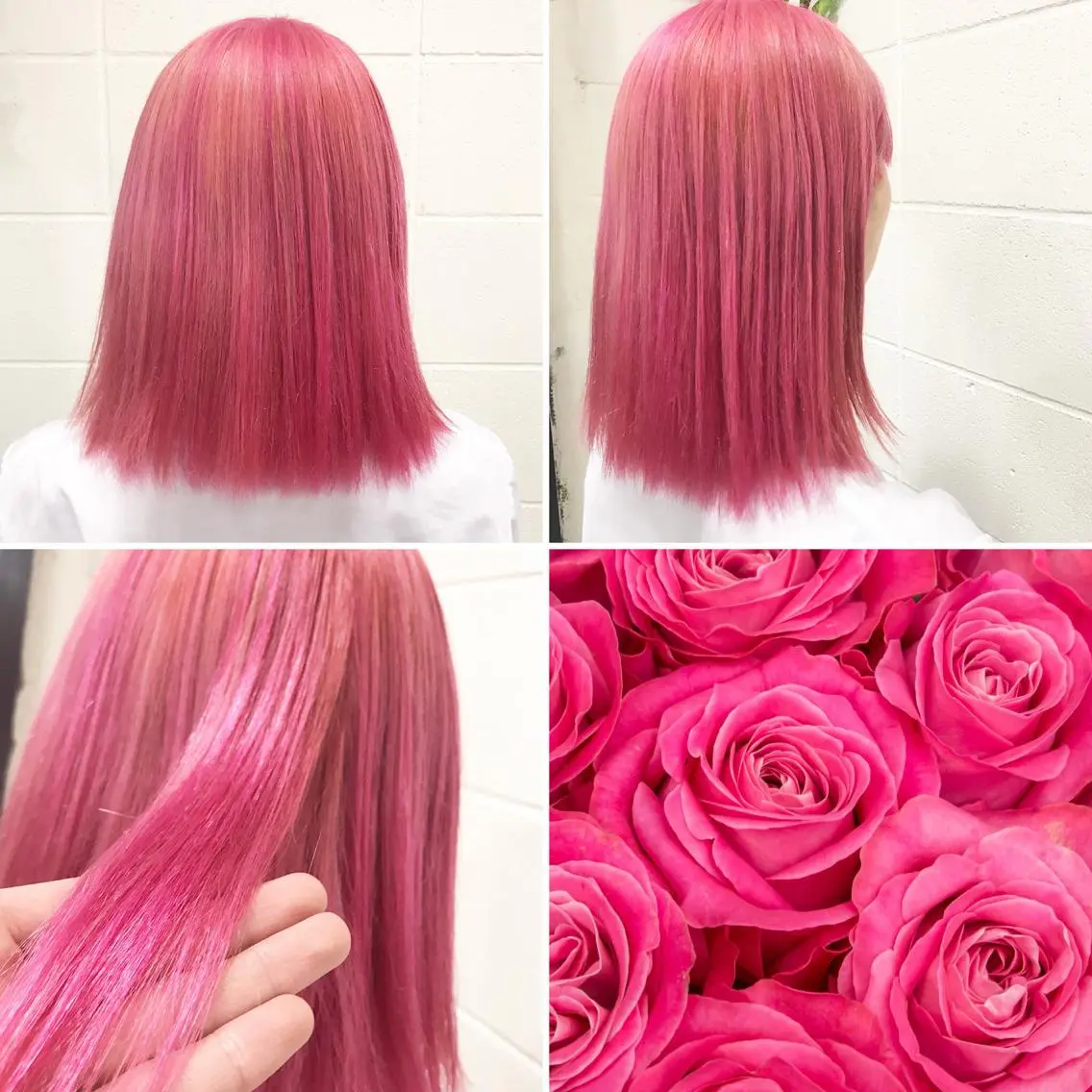 ミディアム カラー ヘアカラー トリートメント ✨️眉毛、派手髪、 ハイトーンShinの眉毛・アイブロウイメージ