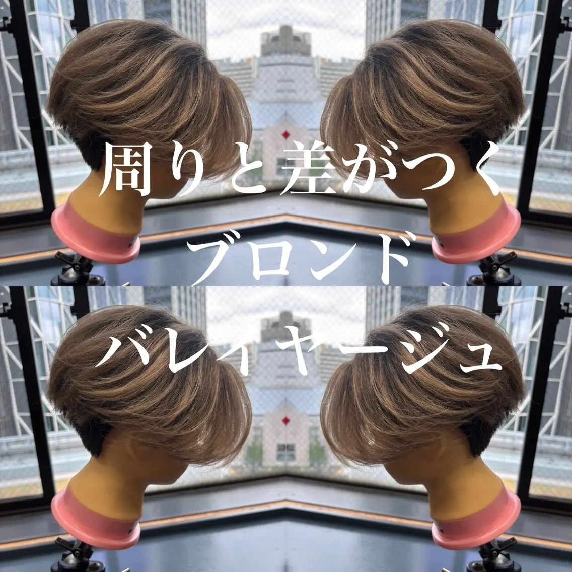 カット+ワンカラーの写真