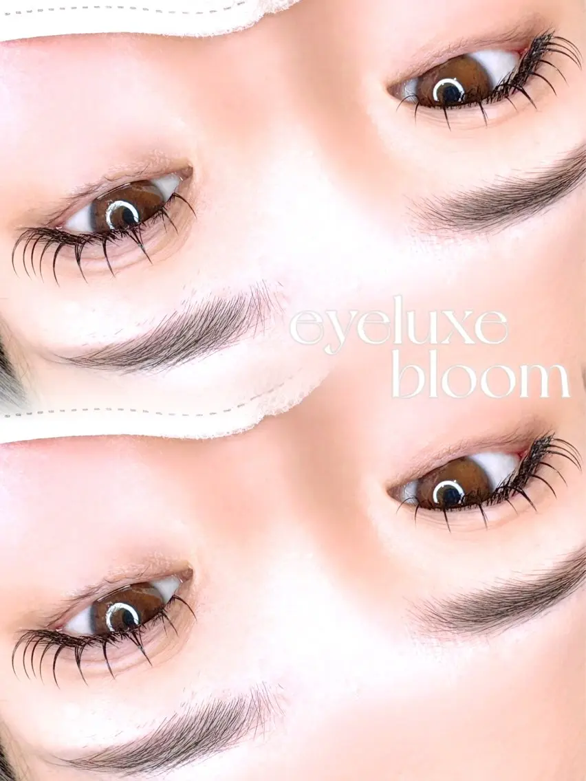 マツエク・マツパ eyeluxe bloom KANGのマツエク・マツパデザイン