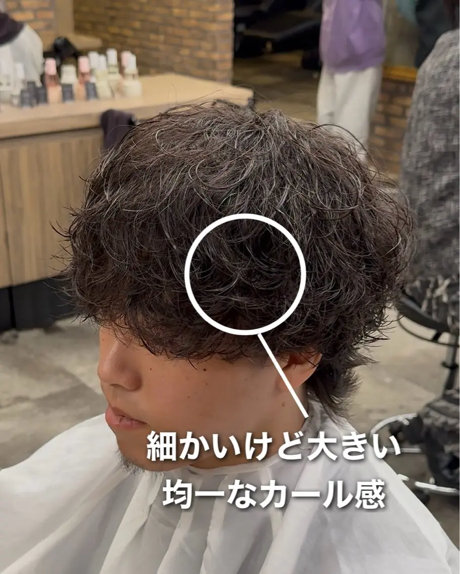 パーマ メンズ カット パーマ シャドウ/フェザー 朝崎倭斗のヘアスタイル