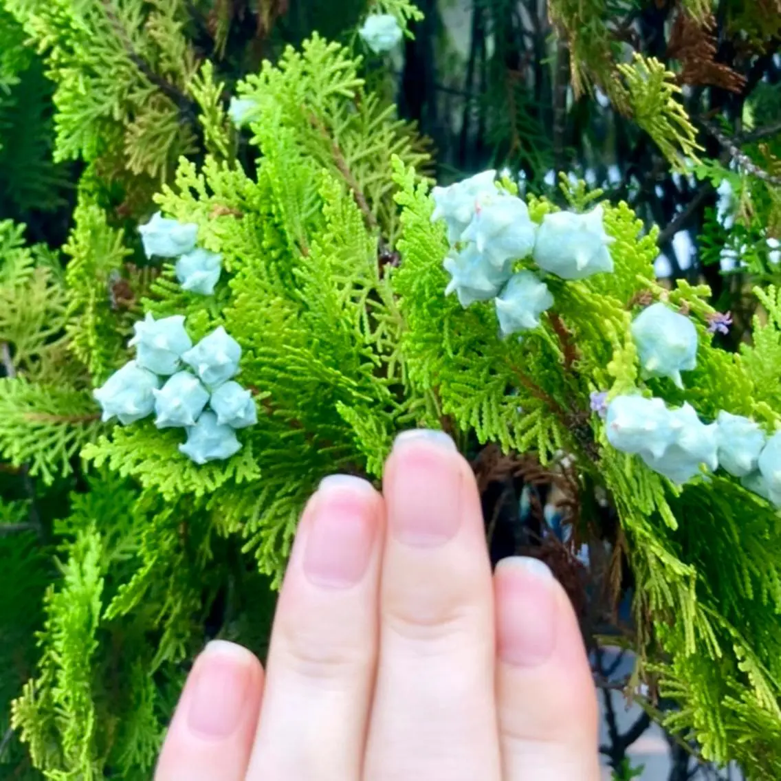 メンズ ネイル ケアリスト🍀 マリユキのネイルデザイン