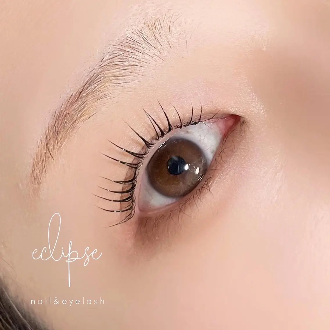 マツエク・マツパ マツパ eclipse eyelashのマツエク・マツパデザイン